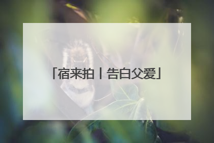宿来拍丨告白父爱